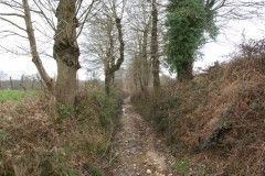 Photo de l'ancien chemin menant au pont de "Putain", Le Crouais (Ille et Vilaine, 35)