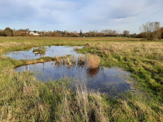 Conférence : De l’eau pour demain, tous acteurs !